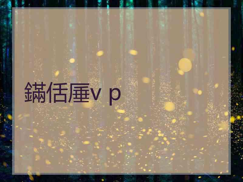 鏋佸厜v p