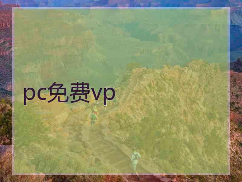 pc免费vp