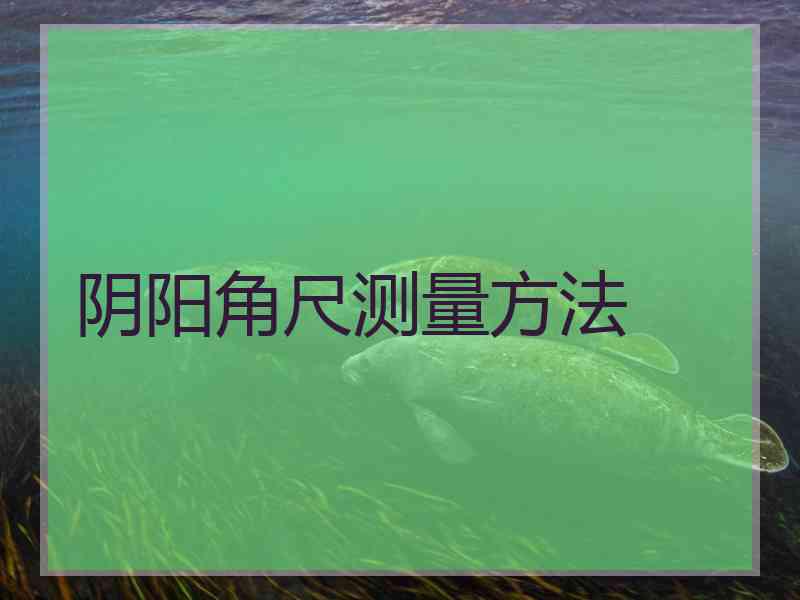 阴阳角尺测量方法