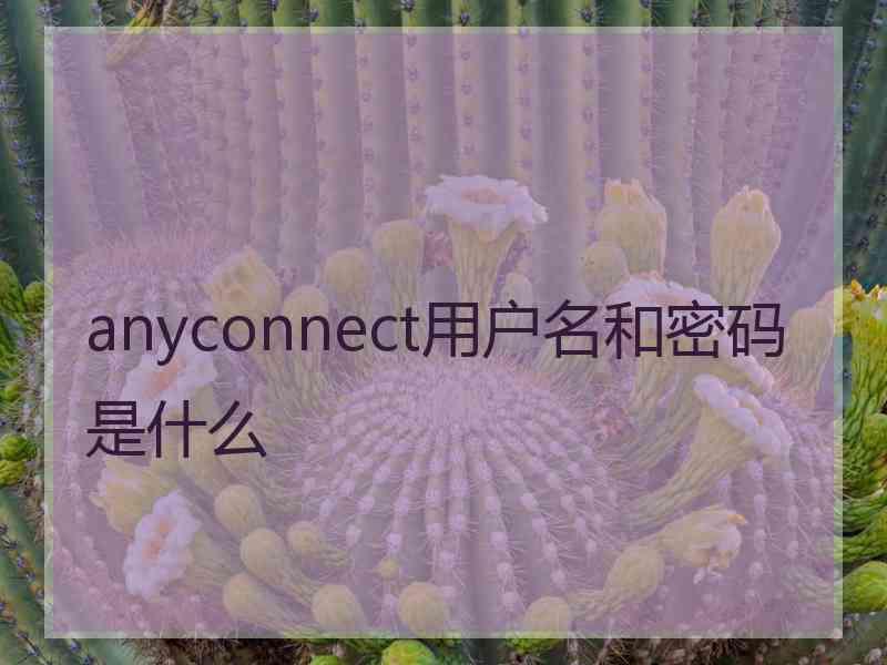 anyconnect用户名和密码是什么