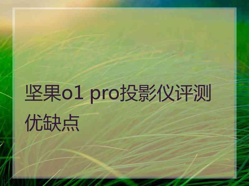 坚果o1 pro投影仪评测优缺点