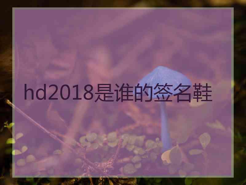 hd2018是谁的签名鞋