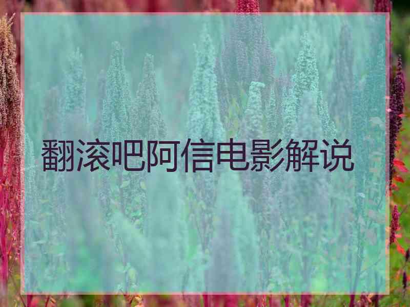 翻滚吧阿信电影解说