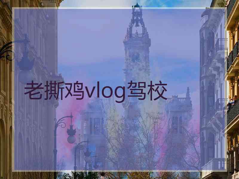 老撕鸡vlog驾校