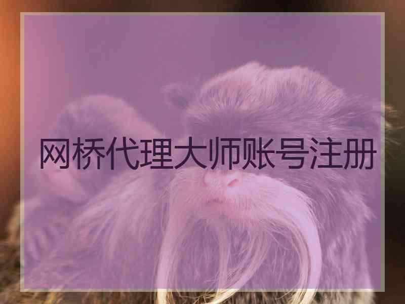 网桥代理大师账号注册