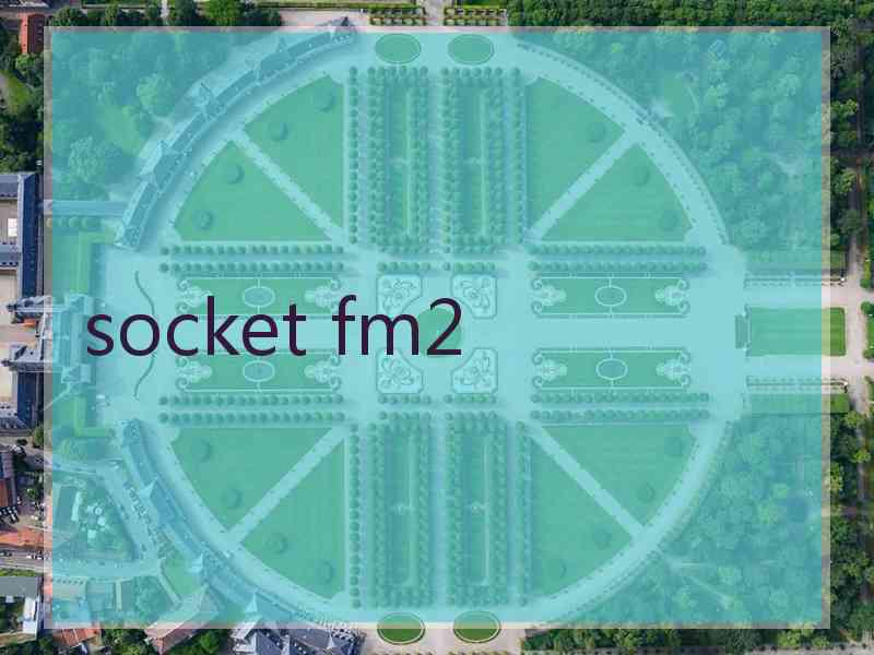 socket fm2