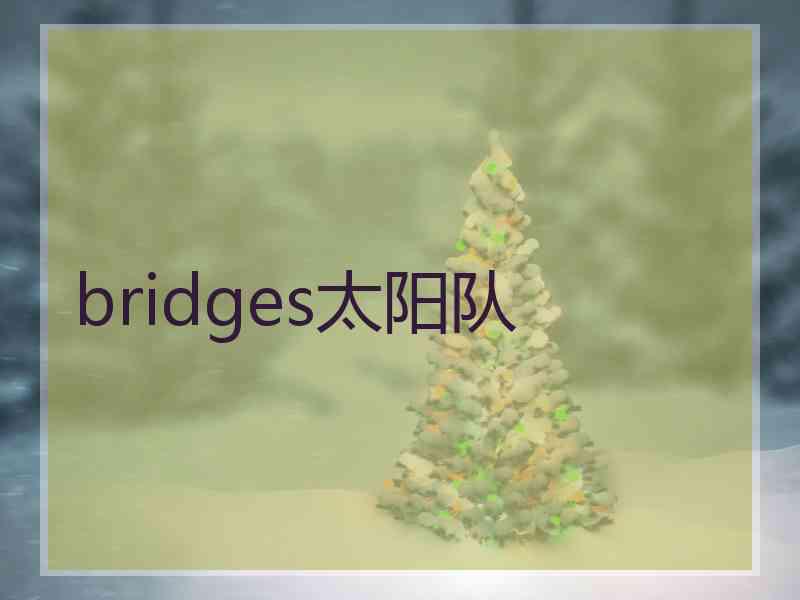 bridges太阳队