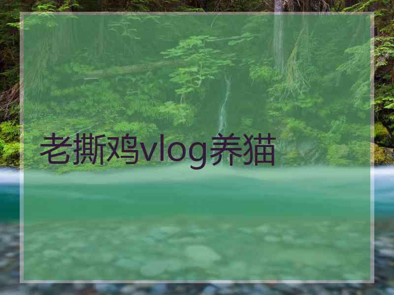 老撕鸡vlog养猫