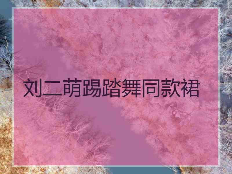 刘二萌踢踏舞同款裙