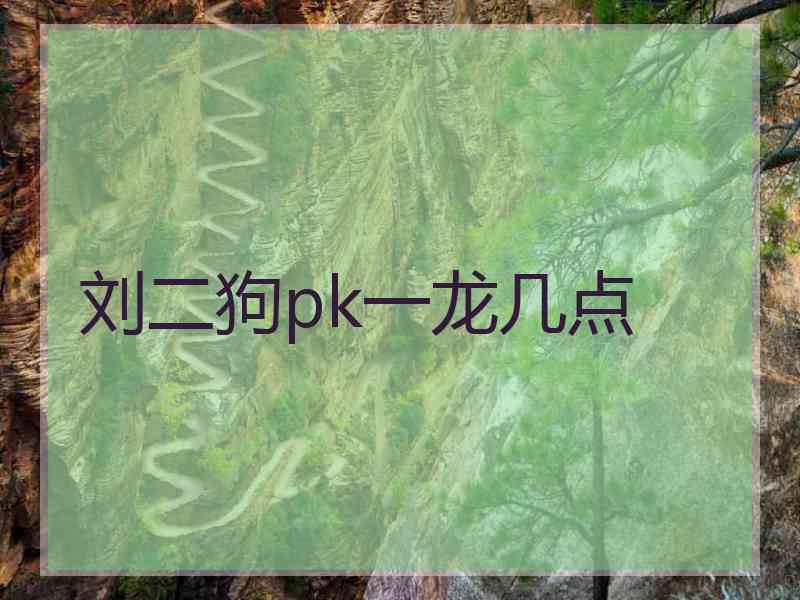 刘二狗pk一龙几点