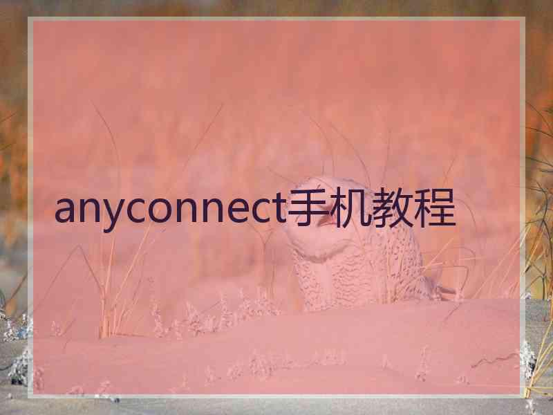 anyconnect手机教程