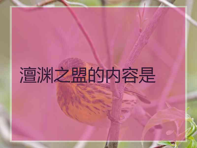 澶渊之盟的内容是