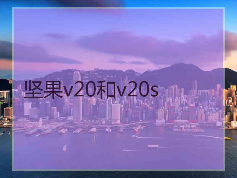 坚果v20和v20s