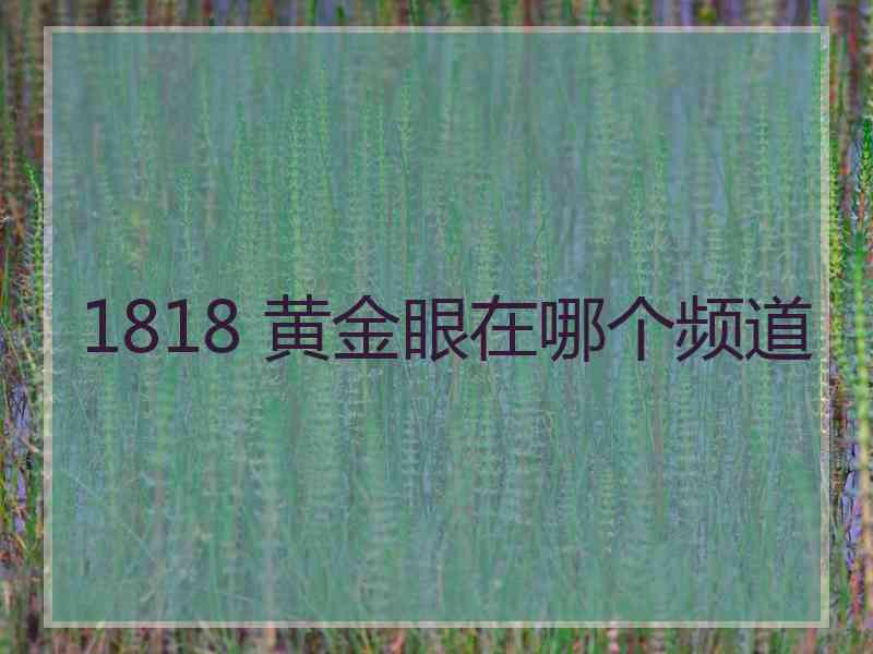 1818 黄金眼在哪个频道