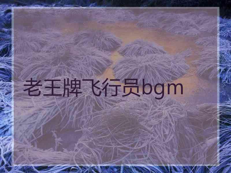 老王牌飞行员bgm