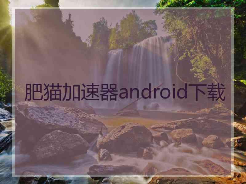 肥猫加速器android下载