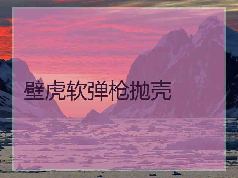 壁虎软弹枪抛壳