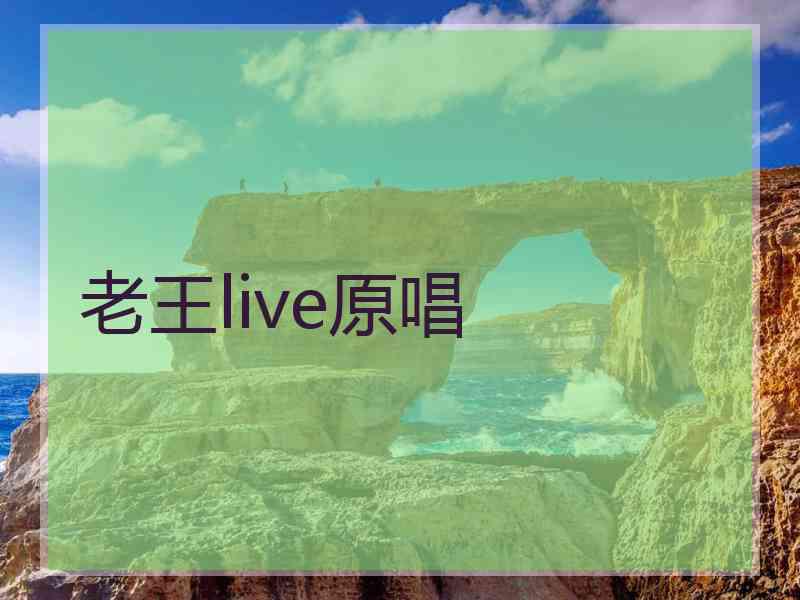 老王live原唱