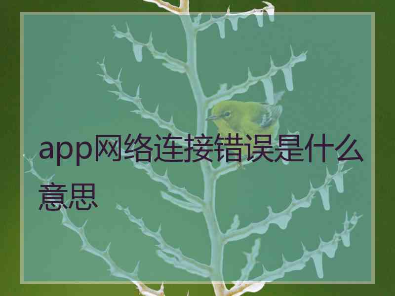 app网络连接错误是什么意思