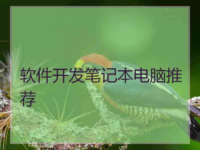 软件开发笔记本电脑推荐