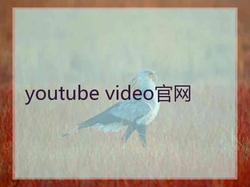 youtube video官网