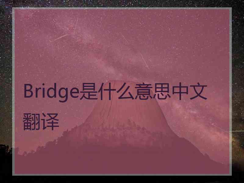 Bridge是什么意思中文翻译