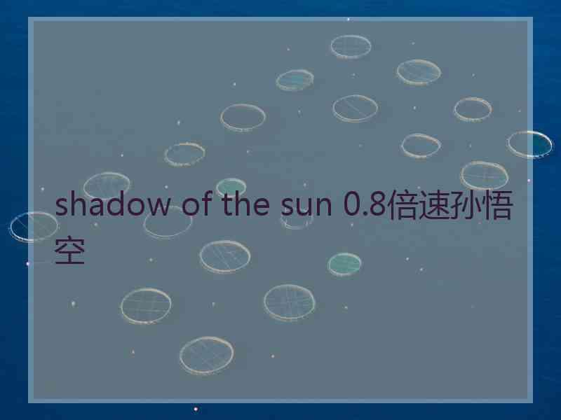 shadow of the sun 0.8倍速孙悟空