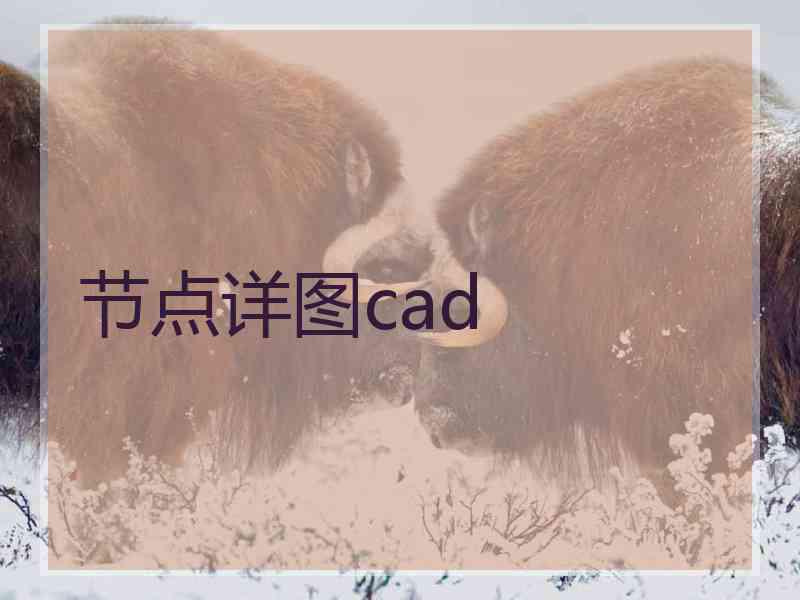 节点详图cad