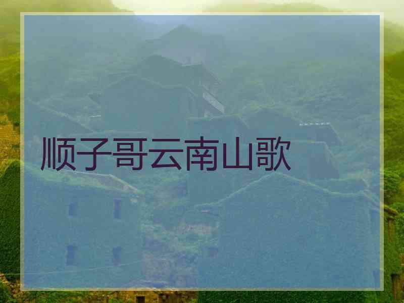 顺子哥云南山歌