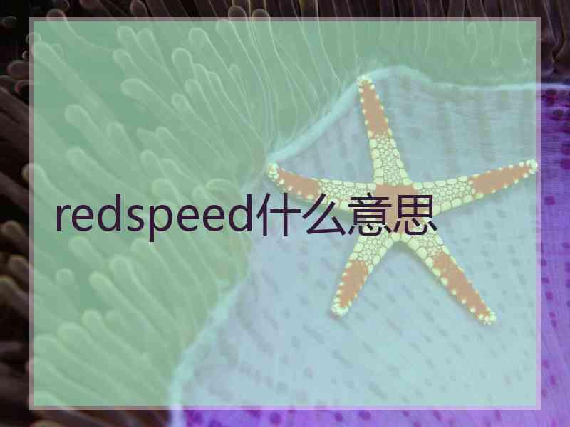 redspeed什么意思