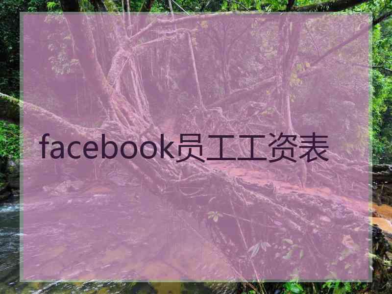 facebook员工工资表