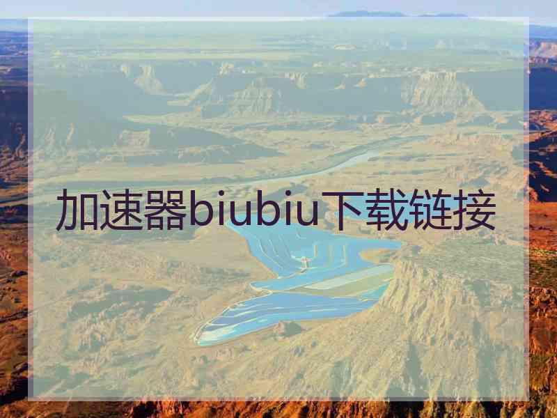 加速器biubiu下载链接