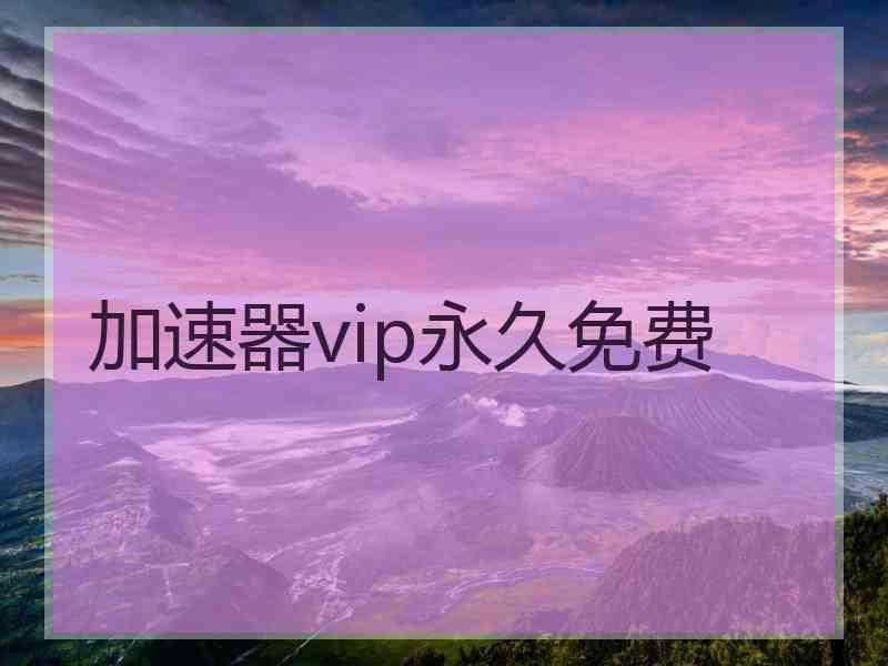 加速器vip永久免费