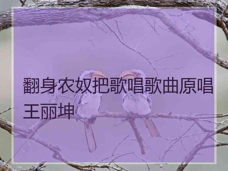 翻身农奴把歌唱歌曲原唱王丽坤