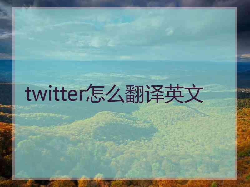 twitter怎么翻译英文