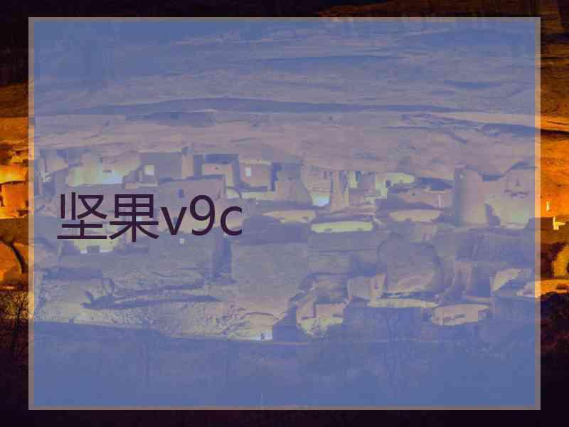 坚果v9c