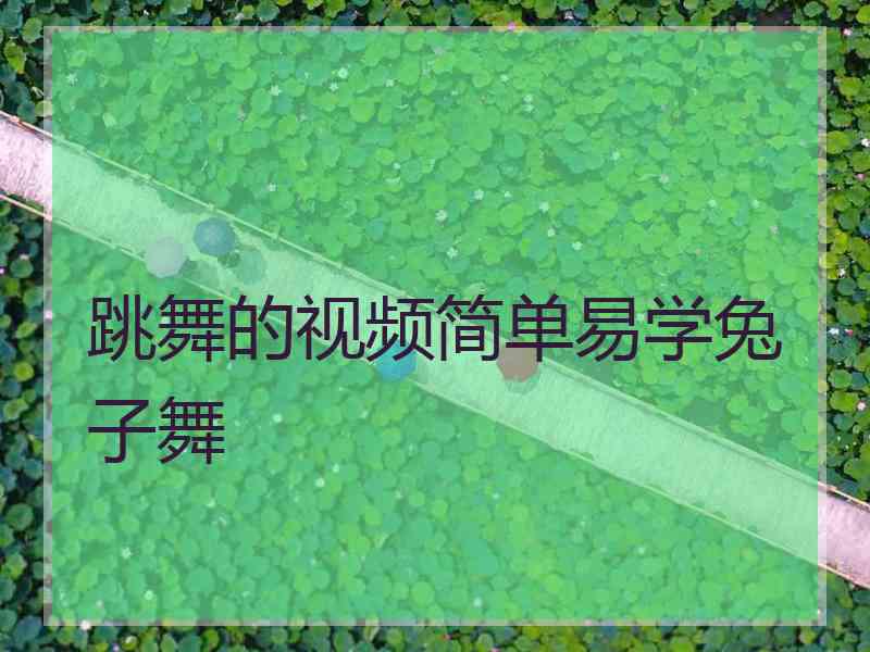 跳舞的视频简单易学兔子舞