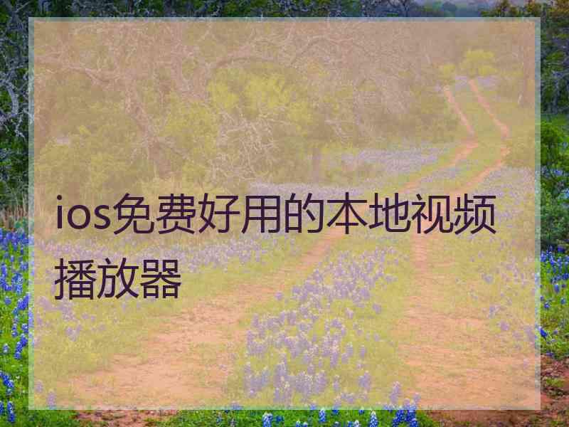 ios免费好用的本地视频播放器