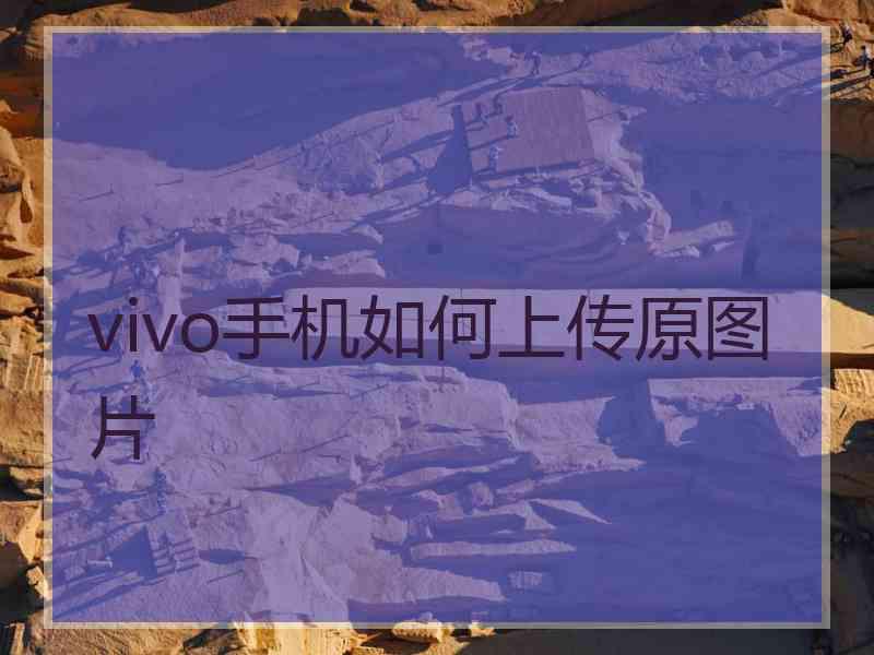 vivo手机如何上传原图片