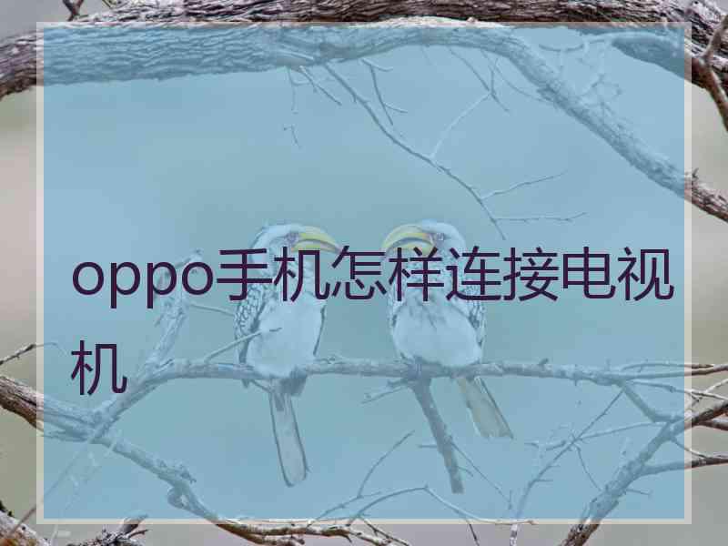 oppo手机怎样连接电视机