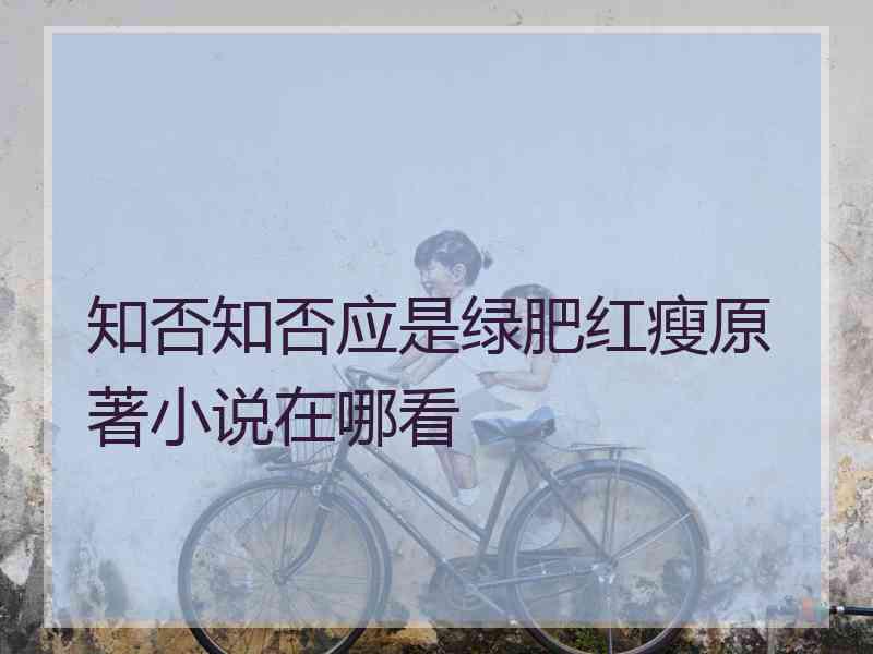 知否知否应是绿肥红瘦原著小说在哪看