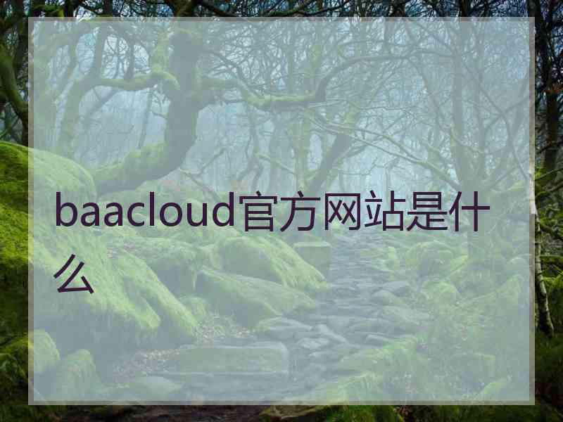 baacloud官方网站是什么