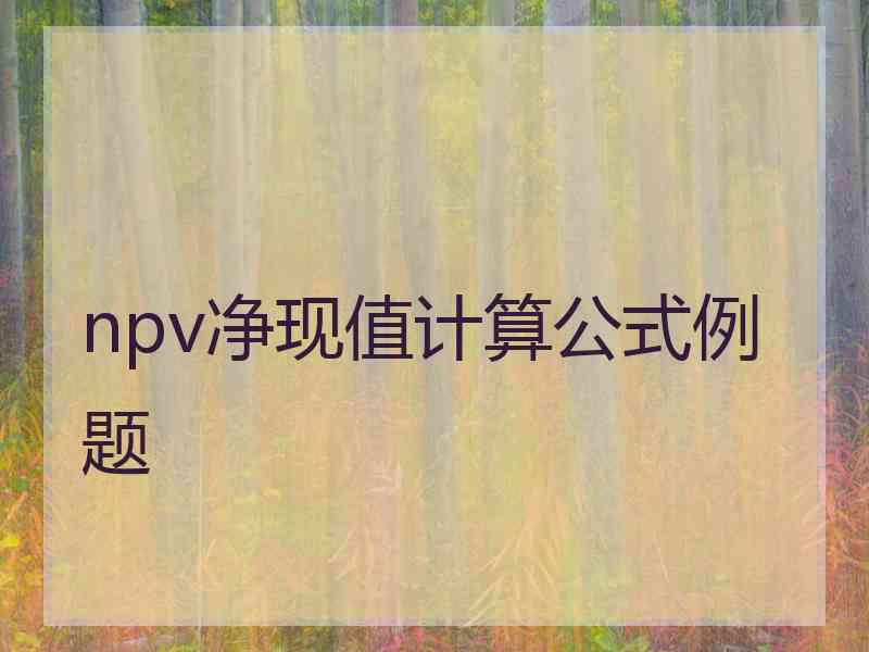 npv净现值计算公式例题