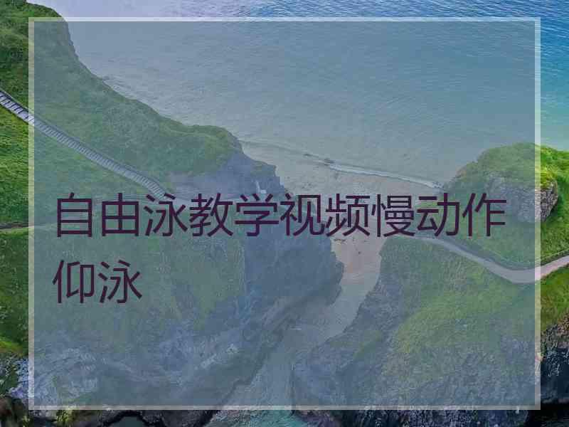 自由泳教学视频慢动作仰泳