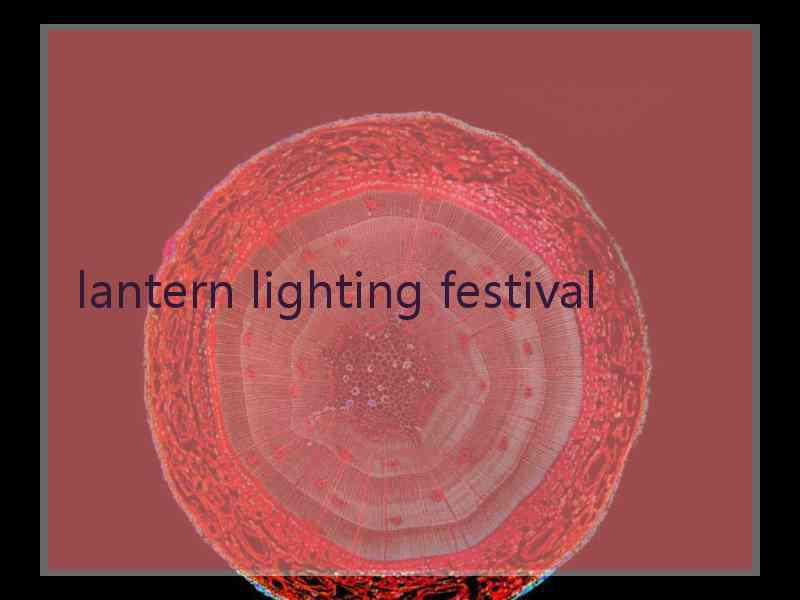 lantern lighting festival