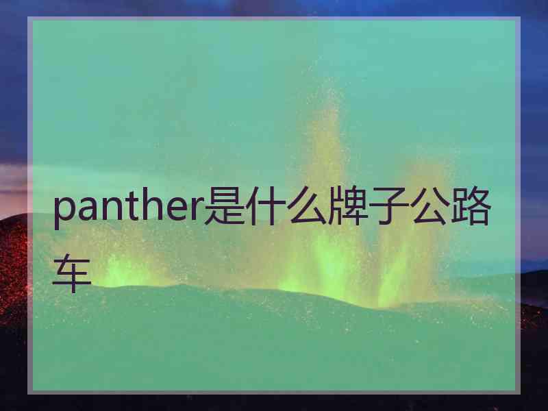 panther是什么牌子公路车