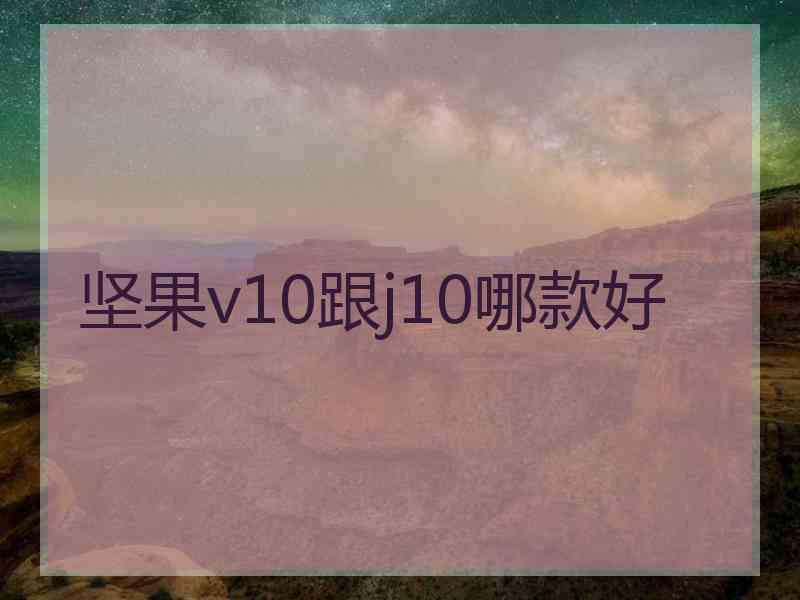 坚果v10跟j10哪款好