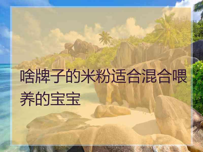 啥牌子的米粉适合混合喂养的宝宝