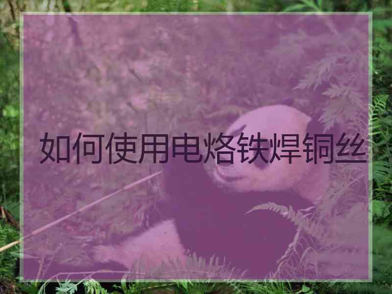 如何使用电烙铁焊铜丝