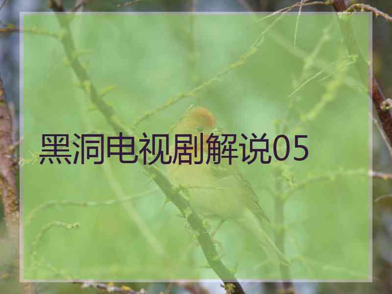 黑洞电视剧解说05